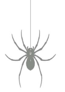 animalzoo17